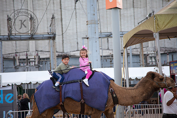 Twins Riding Camel at Houston Rodeo 2