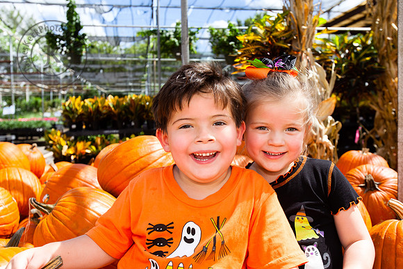 Portrait of Sister and Brother in Pumpkin Patch
