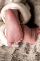 Baby Zion-8