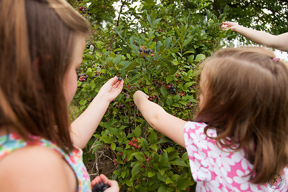 Cousins Picking Blueberries