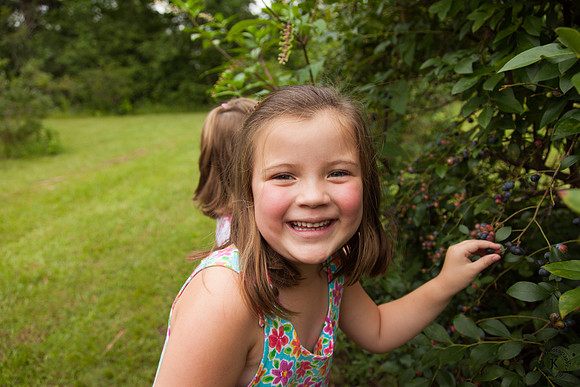 Audrey Picking Blueberries