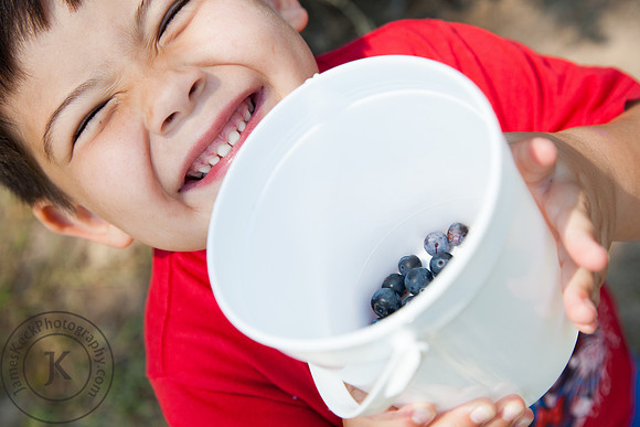 Children Blueberry Farm Photograph