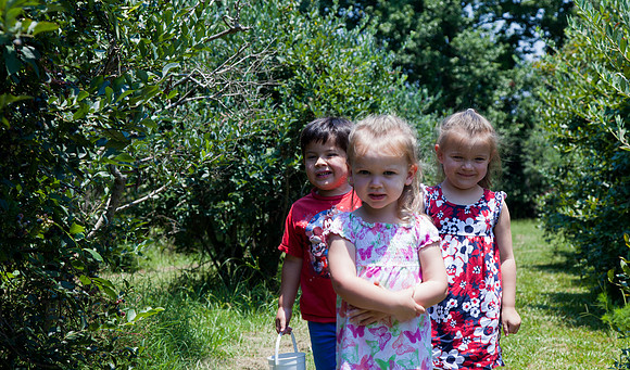 Children Picking Blueberries at Shuqualak Farms