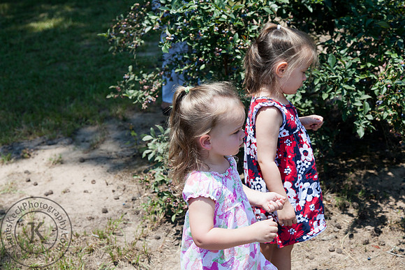 Portrait of Little Girls Picking Blueberries at Shuqualak Farms
