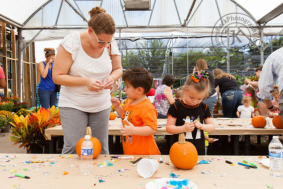 Kids working on decorating pumpkins
