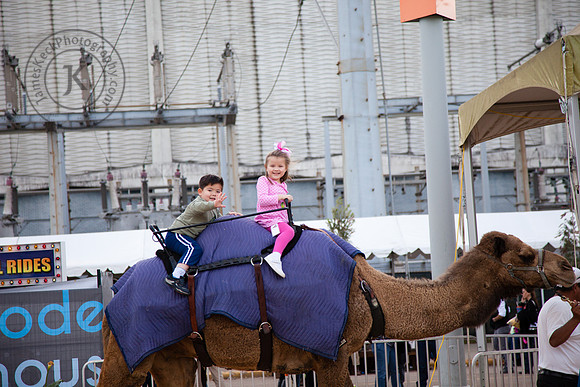 Twins Riding Camel at Houston Rodeo