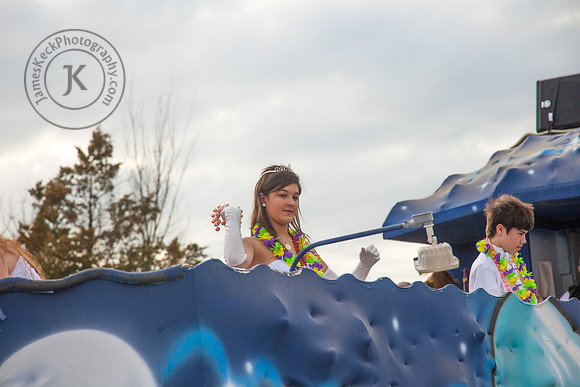Krewe of Gemini