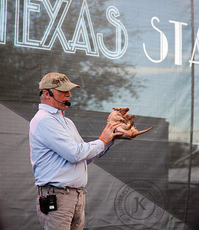 Armadillo at Houston Rodeo