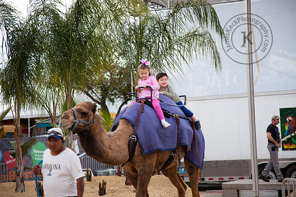 Twins Riding Camel at Houston Rodeo 3